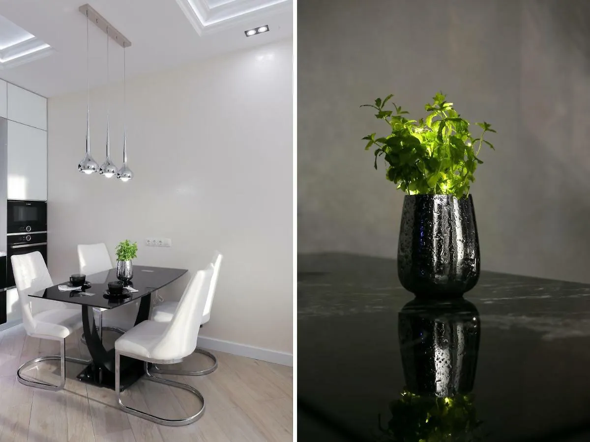 Black&White Apartment In Smart Plaza Kyiv 0*,